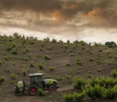 Weintourismus Priorat