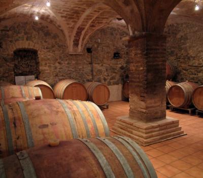 Vineyards to visit near Barcelona
