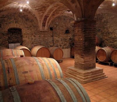 visite et degustation vin Espagne