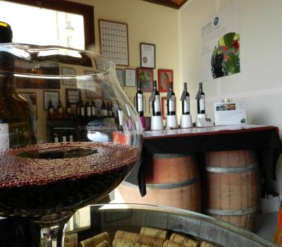 Wine testing and cellar tours Barcelona
