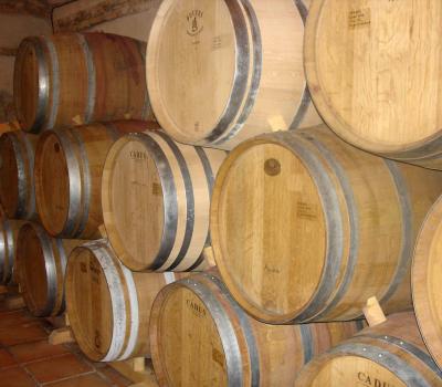 Wine testing and cellar tours Barcelona