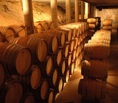 Wine Tasting and tours Spain