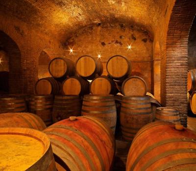 visite et degustation vin Espagne