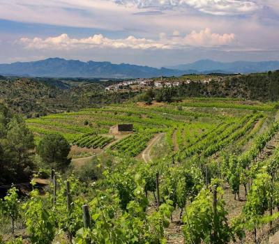 visite et degustation vin Espagne