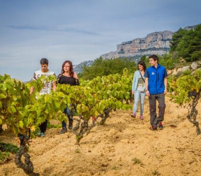 visite de domaine viticole Espagne