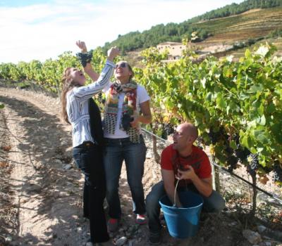 Bodegas Cataluña