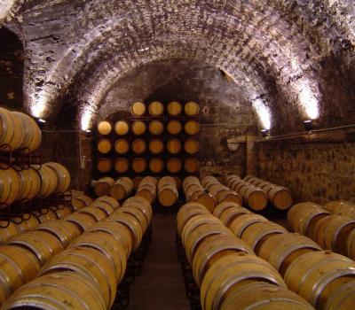 Wine Tourism near Barcelona