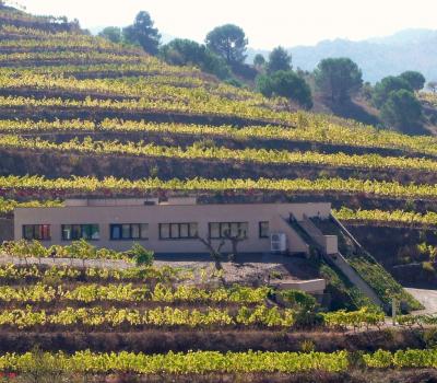 Weintourismus Priorat
