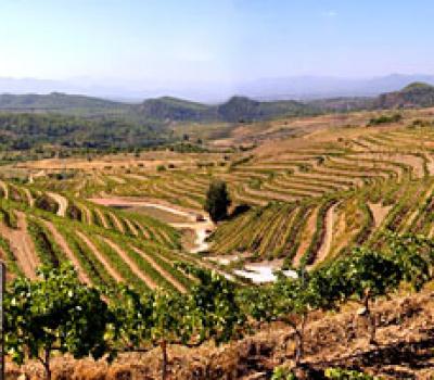 Weintourismus Priorat