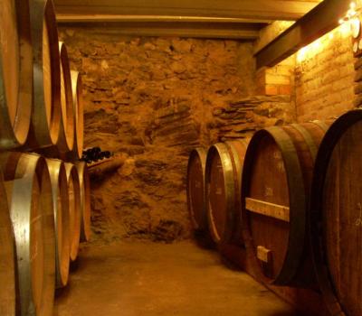 Wine Tourism near Barcelona