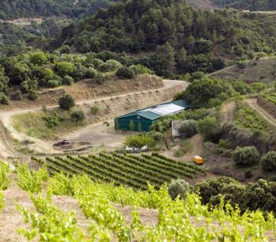 winery visit Priorat