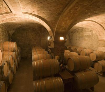 Wine Tourism near Barcelona