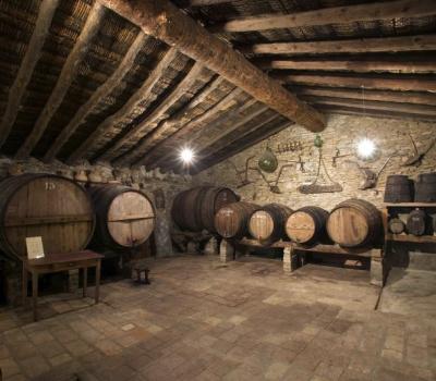 visite et degustation vin Espagne