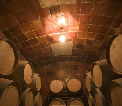 Wine testing and cellar tours Barcelona