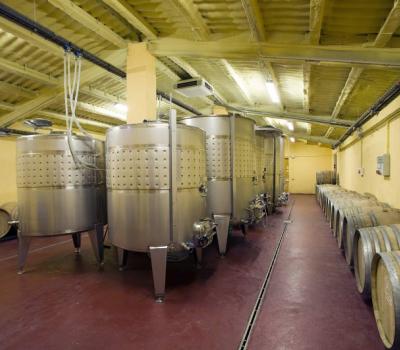 Wine Tourism near Barcelona