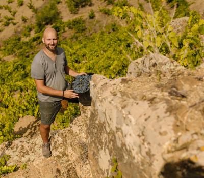 Weintourismus Priorat