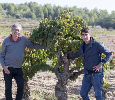 Wine tourism Priorat