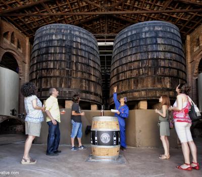 wine tourism Priorat