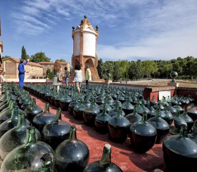 Wein tasting Spanien