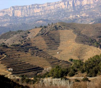 visiter vignoble Espagne