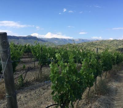 Bodegas Cataluña