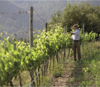 Turisme Rural Catalunya