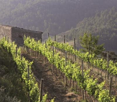 Turisme Rural Catalunya