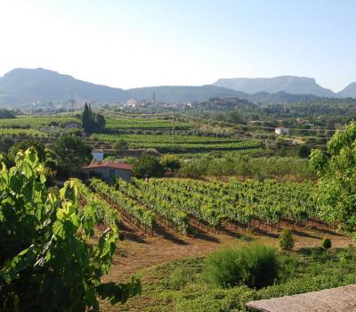 wine tourism Priorat