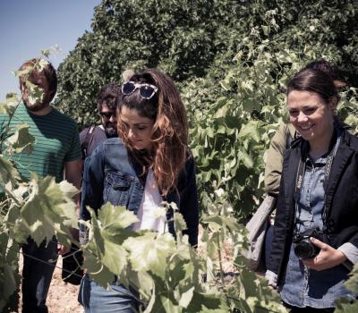 wine tourism Priorat