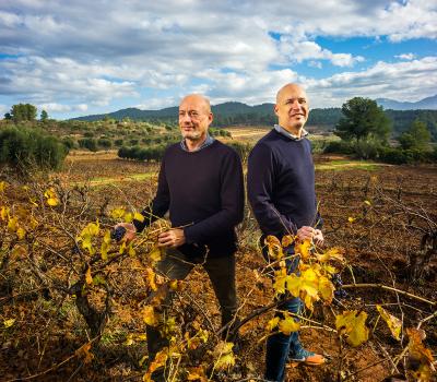 Vineyards to visit near Barcelona