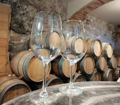 visiter vignoble Espagne