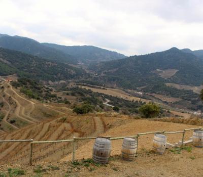 Enoturismo Cataluña