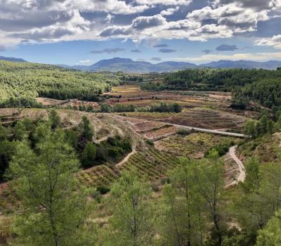 Vineyards to visit near Barcelona