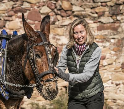 Visitar bodegues Catalunya