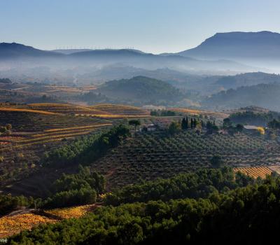 Enoturisme  Catalunya