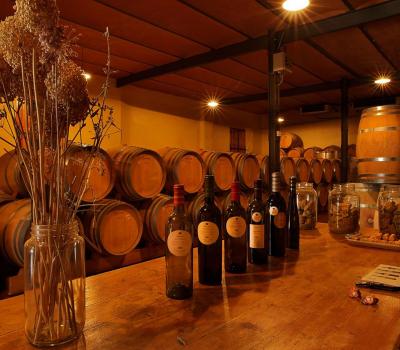 Wine Tourism near Barcelona