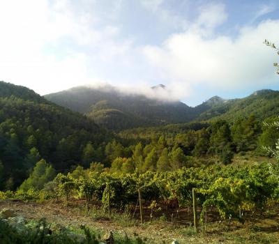 Turisme rural Catalunya