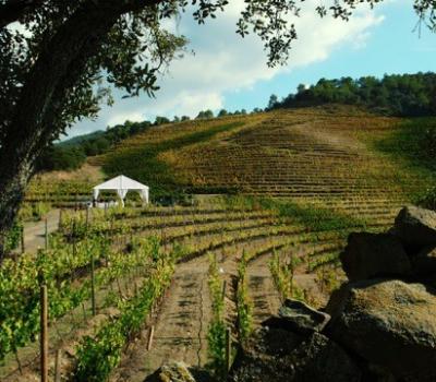 wine tourism Priorat