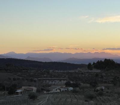 visite de domaine viticole Priorat