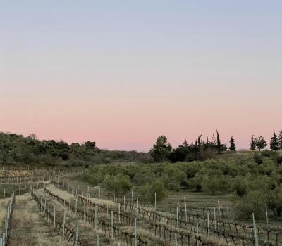 winery visit Priorat