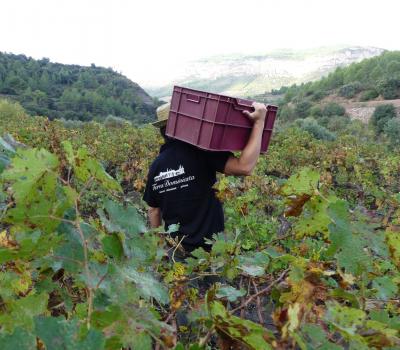 Turisme rural Catalunya