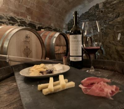 Wine Tourism Spain