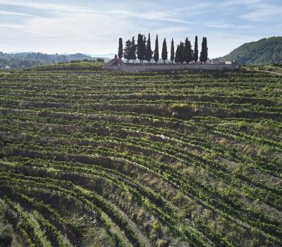 visiter vignobles Catalogne