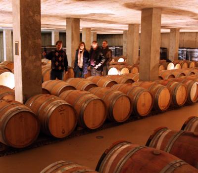 Weintourismus Katalonien