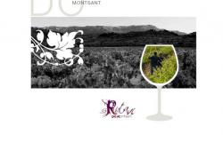 Wine Tasting Barcelona