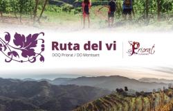 Enoturisme Priorat