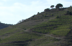 Turisme Rural Catalunya