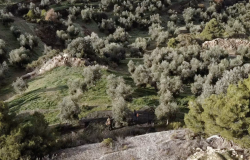 Turisme Rural Catalunya